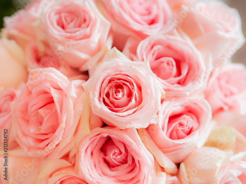 Top view Close up pink rose in wedding abstract background.