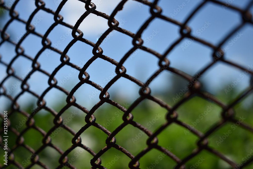 Fototapeta premium rusty wire mesh