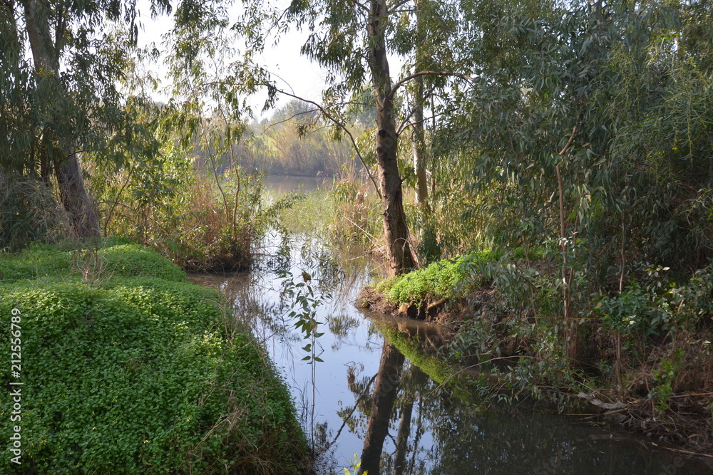 Obraz premium Herzliya Park