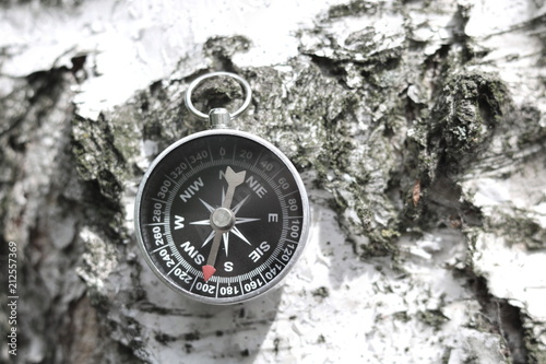 Classic compass on natural wooden background with birch bark texture