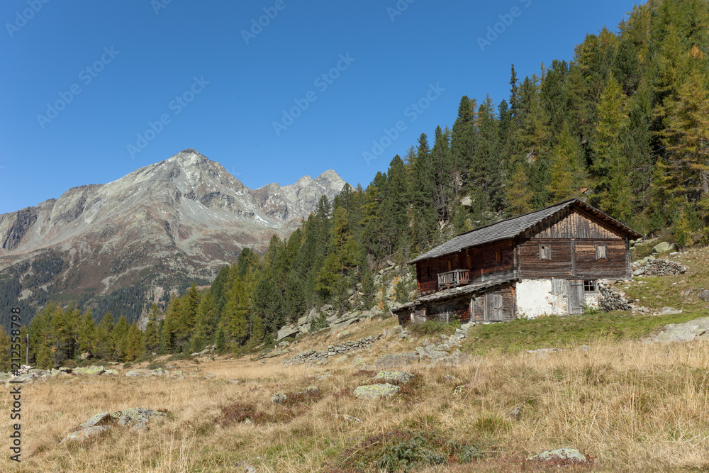 A closed cowshed at fall in front of a mountain meadow