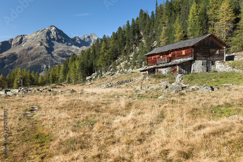 A closed cowshed at fall in front of a mountain meadow © TPhotography