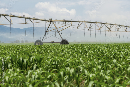 Lateral move irrigation system 