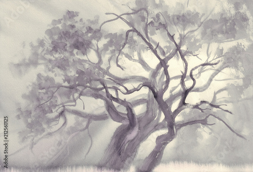 Pine tree in grey background watercolor