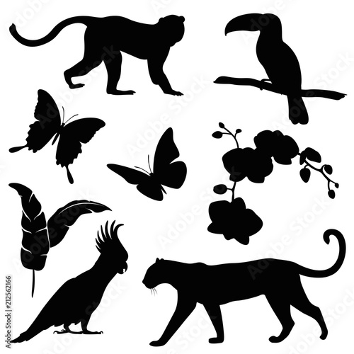 animals jungle silhouette set photo