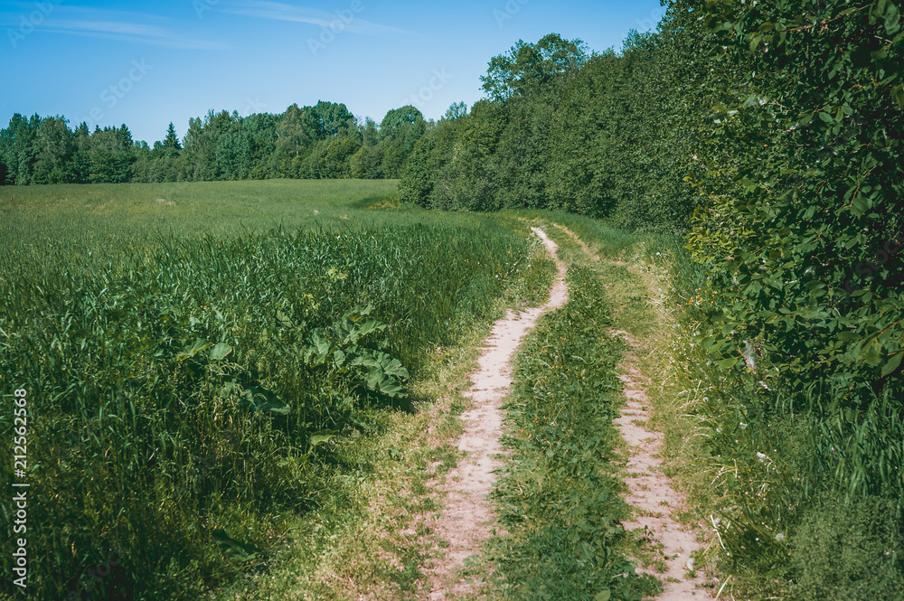 Hiking walking path over the overgrown field leading to the waterfall. Small waterfall in Gauja national park. Latvia.