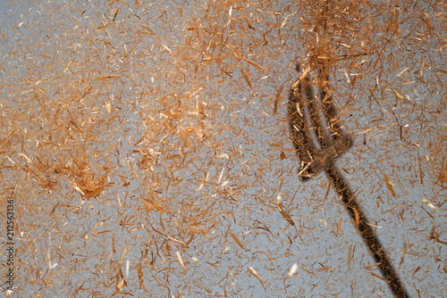 The farmer fanning wheat, separating the wheat from the chaff