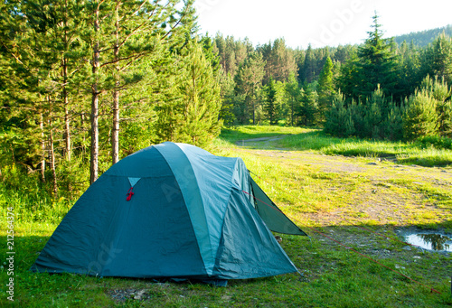 Tent against a forest background, camping camp, concept of hiking. © ggala