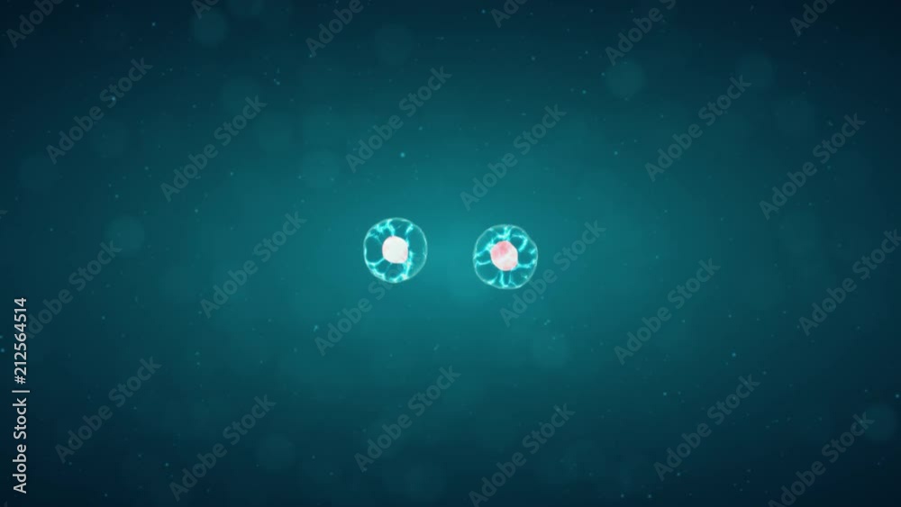 Mitosis, The Process Of Cell Division And Multiplication. Medicine Scientific Concept