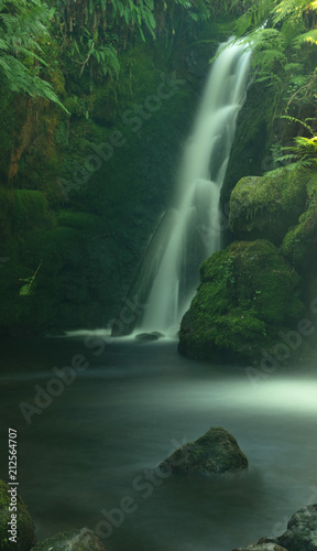 Venford Brook  Dartmoor  Devon  England