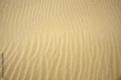 砂丘の風紋 © konきつね