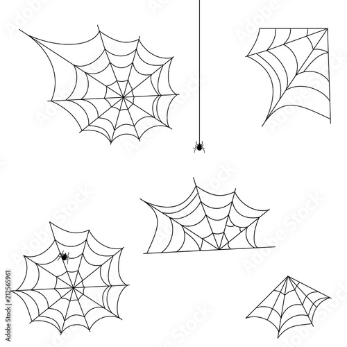 Cobweb spider vector