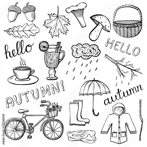 Set of hand drawn autumn icons. Cute doodle design elements. Black and white vector illustration isolated on white background
