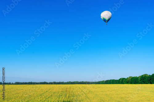 Aerostat is flying over the yellow field. Summer. Sunny day. Recreation. Romantic adventure. Beautiful nature. Blue sky, green trees and yellow wheat.