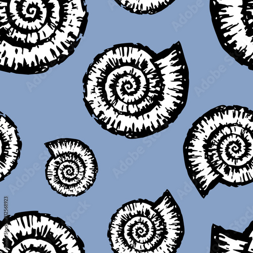 Pattern of seashells of nautiluses