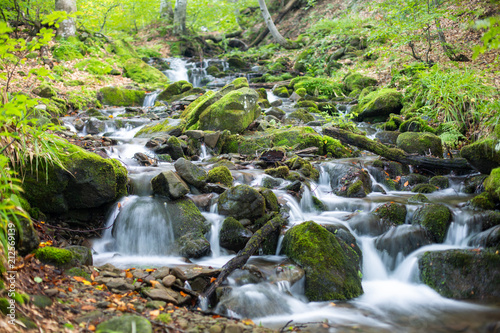 Stream in a mountain forest.