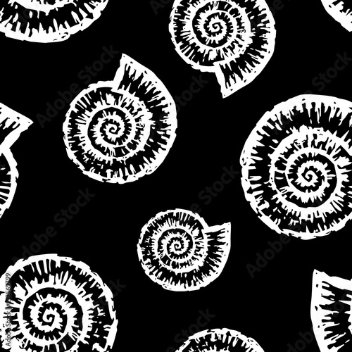 Vector pattern of seashells of nautiluses photo