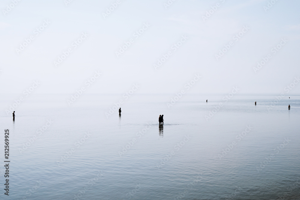 Naklejka premium group of people walking and wading through shallow water at German north sea coast during ebb tide, backlit silhouettes