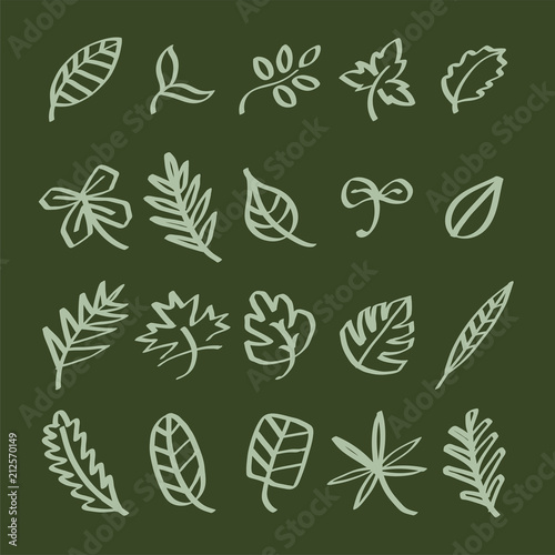 Collection of leaves illustration
