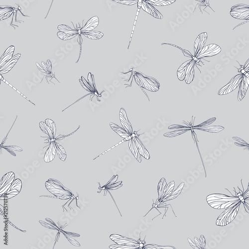 Seamless pattern with dragonflies hand drawn with contour lines on grey backg...