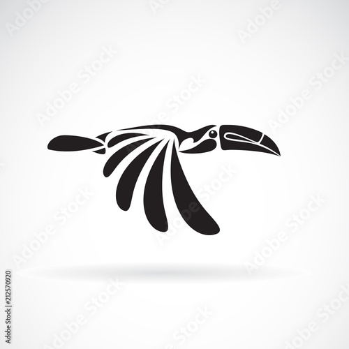 Vector of toucan flying design on white background., Wild Animals. Birds., Easy editable layered vector illustration.