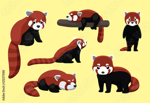 Fototapeta Naklejka Na Ścianę i Meble -  Red Panda Poses Cartoon Vector Illustration