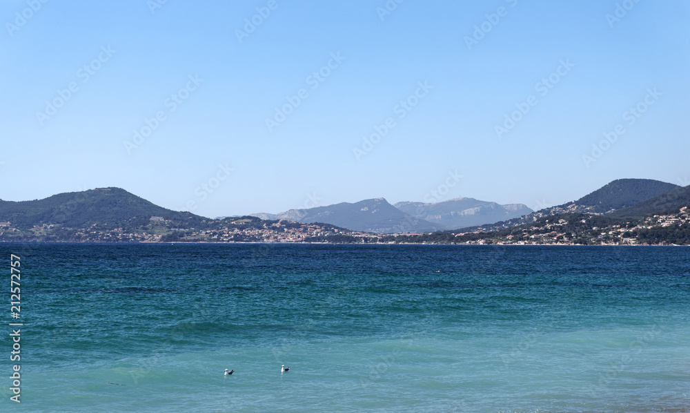 The Pelagos Sanctuary at the french mediterranean coast