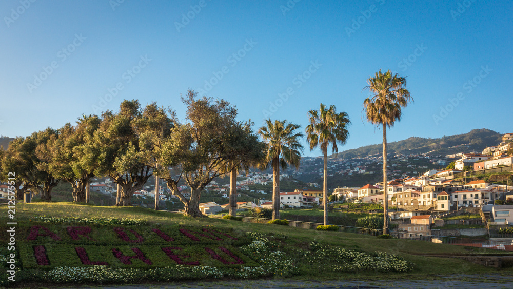 Obraz premium Camara de Lobos in Madeira island, Portugal