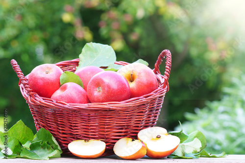 Apples, Äpfel, Pink Lady, Cripps Pink, Apfel, im Korb, Apfelbaum, Sonne, Textraum, copy space