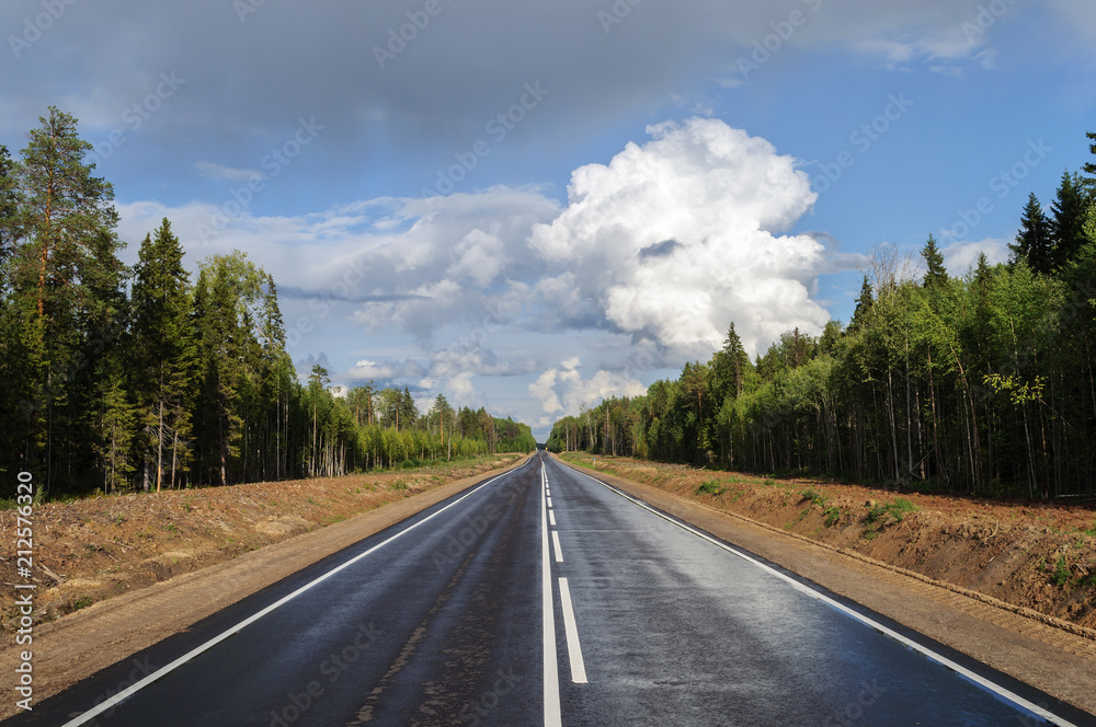 Fototapeta premium New asphalt road through the forest
