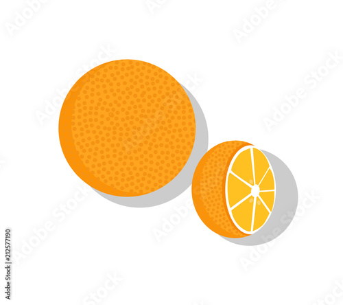 Orange Fruit Whole and Half Vector Illustration