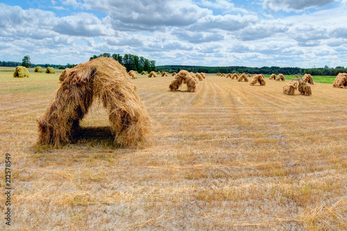 Hayricks in hut shape are laying on the meadow. Summer in Europe.