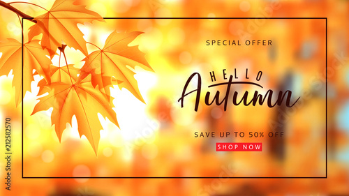 Autumn sale banner template. Vector illustration with autumn landscape and calligraphy lettering. Maple branch on the blurred nature bokeh background.