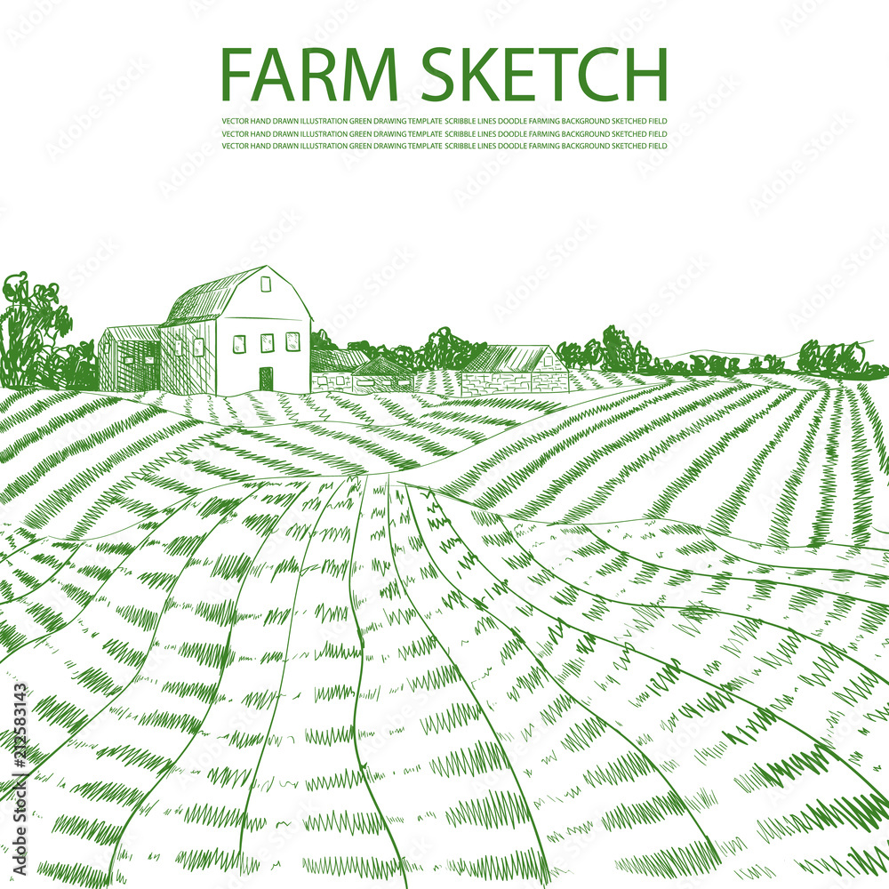 Vector Hand Drawn Farm Field Illustration, Green Lines Engrave Style