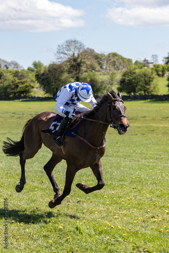 Single race horse and jockey galloping at speed