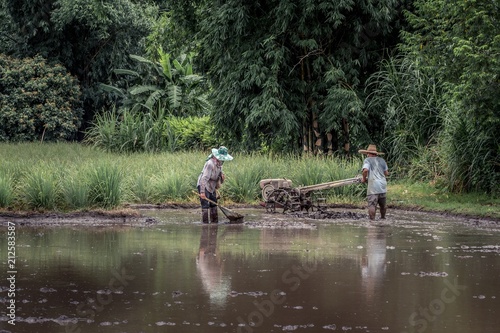 Picturesque farming paddy field scene in Thailand with thai farmer male using tiller and thai farmer female doing traditional dip netting to get fish in beautiful tropical landscape