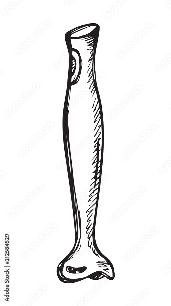 Immersion blender. Vector drawing Immersion blender. Vector drawing