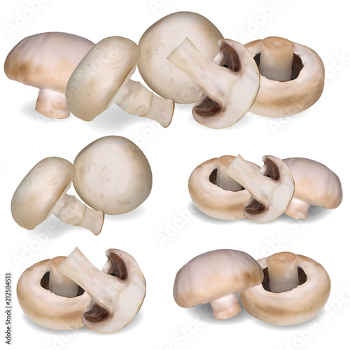 Set of realistic illustration edible white champignon mushroom.3d vector illustration.