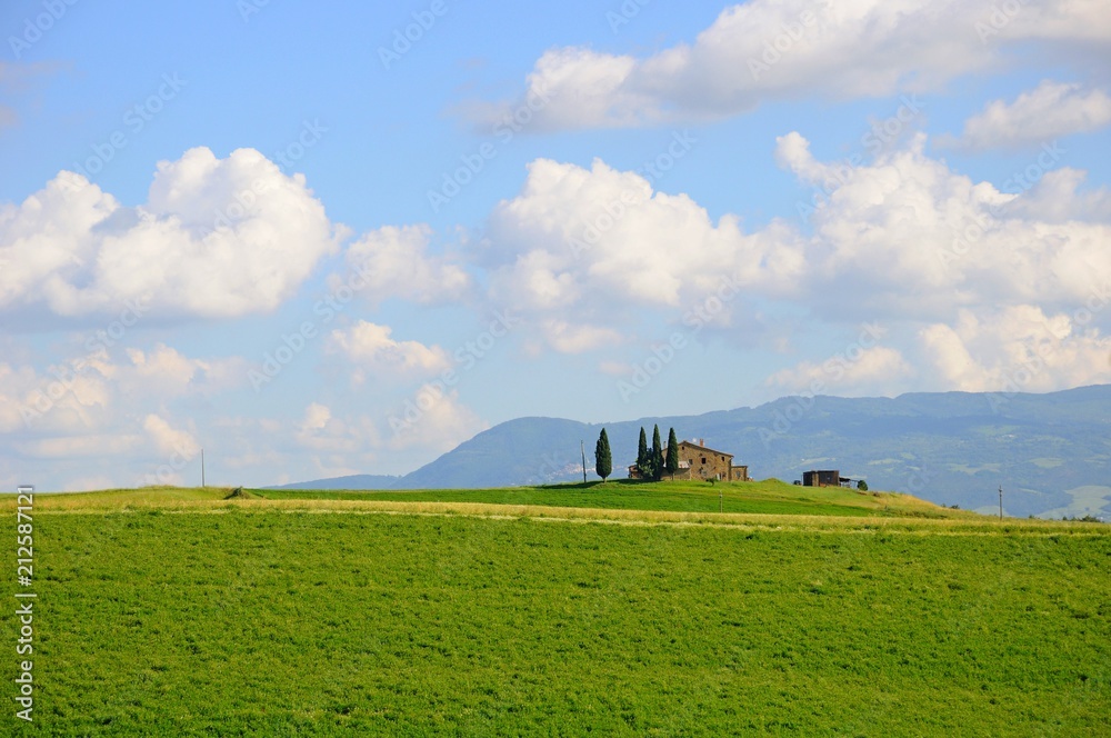 Obraz premium Beautiful landscape of hills, cypress trees and houses in Tuscany, Italy