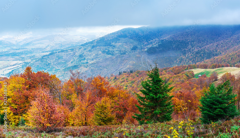 Panorama of colorful trees in the autumn mountains.