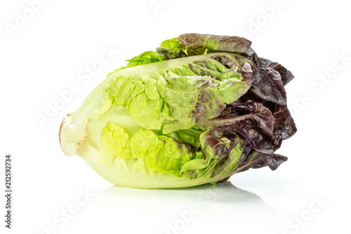 One whole fresh green lettuce red little gem variety isolated on white...........................................................................