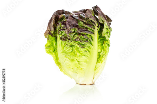 One whole fresh green lettuce red little gem variety one head isolated on white...........................................................................