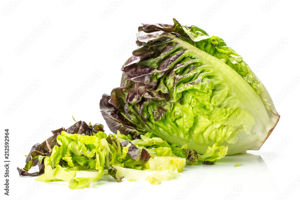 Obraz premium One whole fresh green lettuce red little gem variety and chopped stack isolated on white...........................................................................