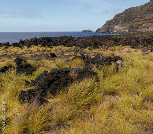 Volcanic coastline in Ferraria, Sao Miguel photo