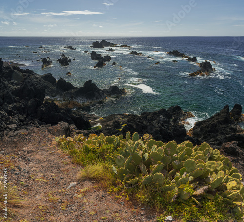 Volcanic coastline in Ferraria, Sao Miguel photo