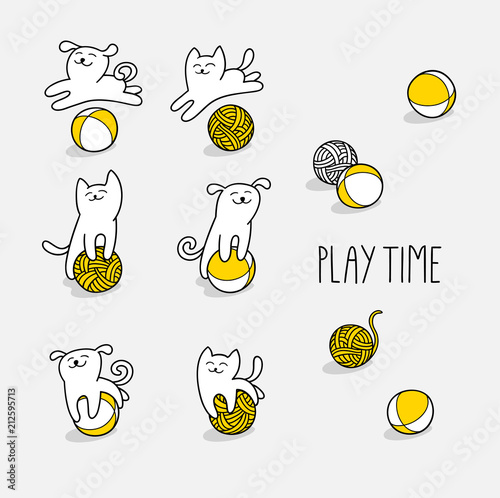 Little cat and little dog