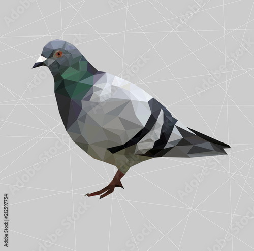 Low poly pigeon bird on gray back ground,animal geometric concept,Abstract vector
