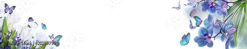 Obraz Panoramiczny niebieski kwiat i motyl