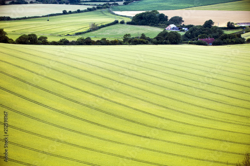 Perferct farming landscape below Firle Beacon, East Sussex, England photo