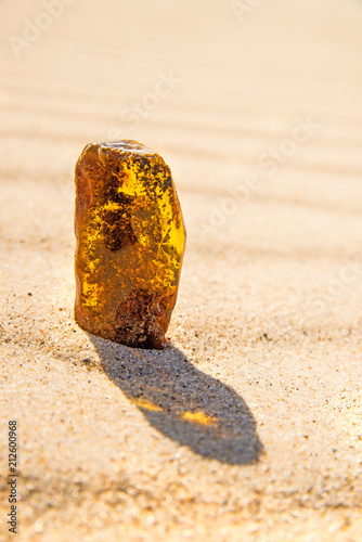 Fototapeta Naklejka Na Ścianę i Meble -  Amber in sun on a beach of the Baltic sea